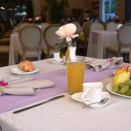 Sofia 4* Złote Piaski
